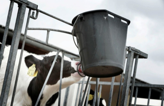 Tejpótló tápszerek minősége 